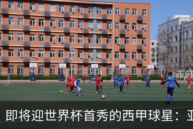 即将迎世界杯首秀的西甲球星：亚马尔、居莱尔、朱利亚诺・西蒙尼